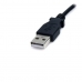 Câble USB M Startech USB2TYPEM