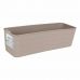 Organizér Confortime Jano 27 x 9 x 7,5 cm (36 Kusů) (27 x 9 x 7,5 cm)