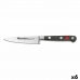 Nož za lupljenje Quttin Safrane 10 cm 10 x 2 x 2 cm 2 mm (6 kosov)