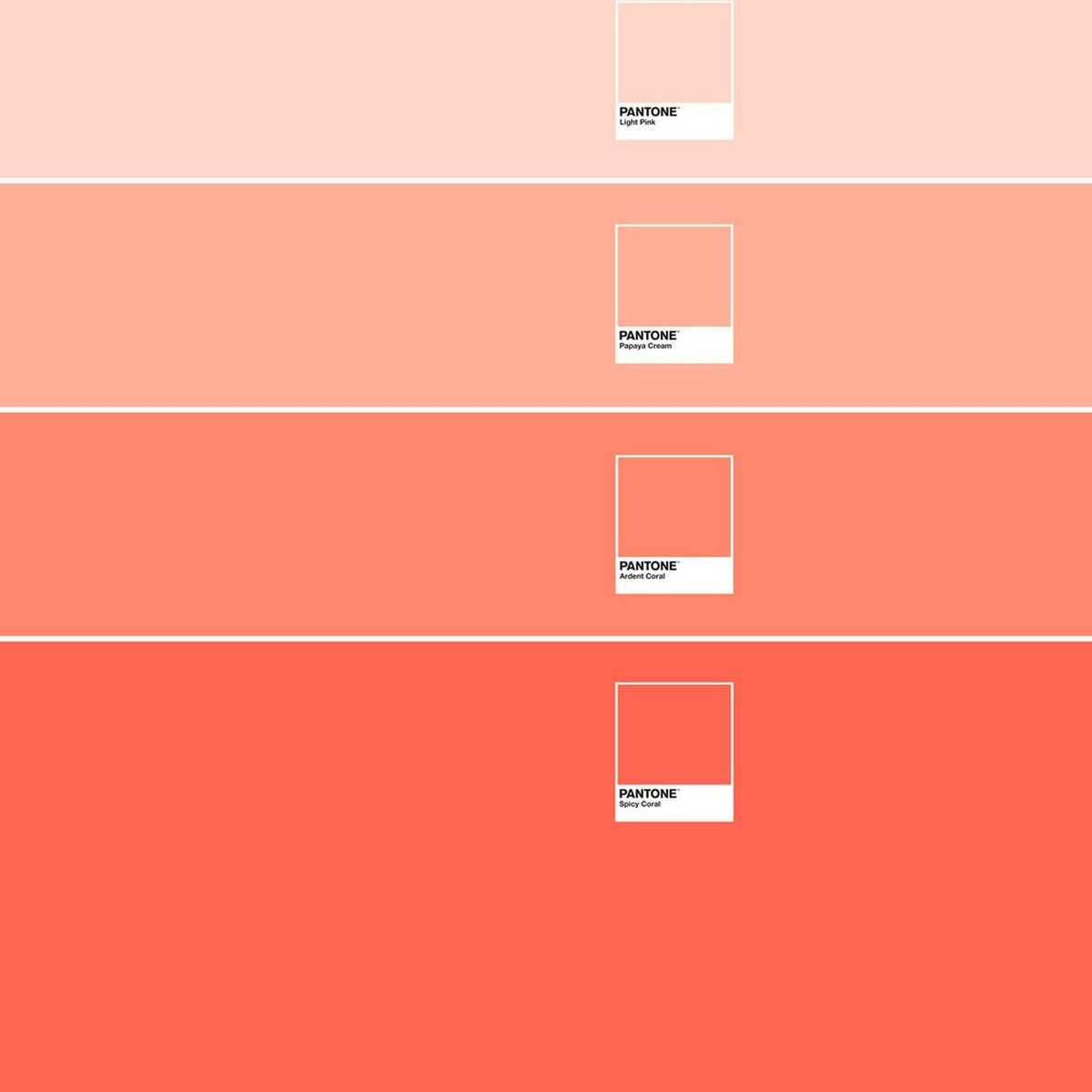Tekikott Ombre B Pantone