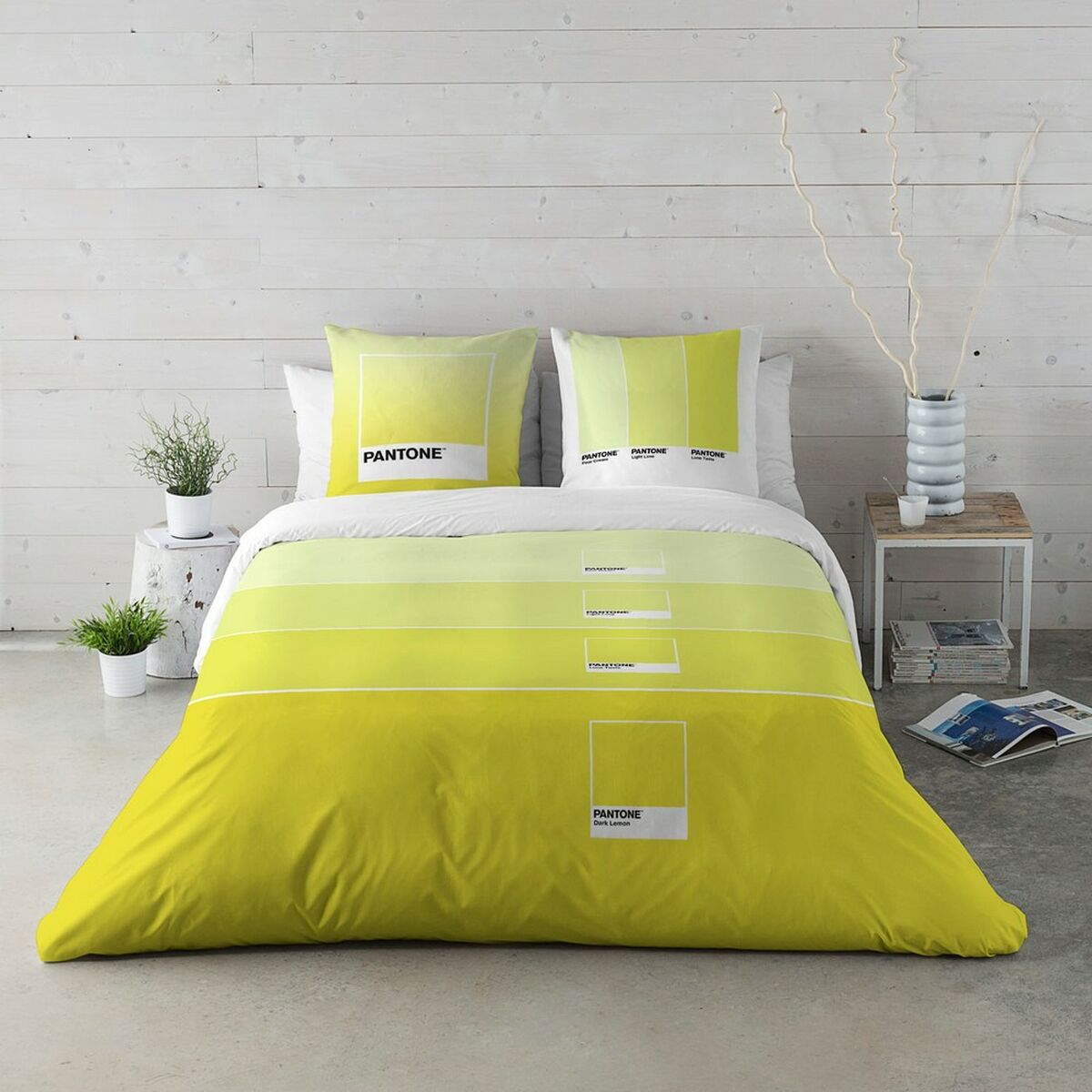 Tekikott Ombre C Pantone