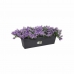 Βάζο Λουλουδιών Elho Μαύρο 16,5 x 58,5 x 13,7 cm