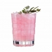 Glazenset Arcoroc Brixton Transparant Glas 6 Onderdelen 350 ml