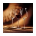 Šampanieša glāze Chef & Sommelier 6 gb. Caurspīdīgs Stikls (21 cl)