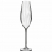 Pohár šampanského Bohemia Crystal Optic Transparentná Sklo 260 ml (6 kusov)