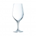 Glāžu Komplekts Chef & Sommelier Evidence Vīna 6 gb. Caurspīdīgs Stikls 450 ml