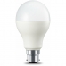 LED-lampa Amazon Basics (Renoverade A+)