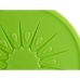 Kou-accumulator Kiwi 250 ml 17,5 x 1,5 x 17,5 cm (24 Stuks)