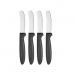 Kés szett Fekete Ezüst színű Rozsdamentes acél Műanyag 17 cm (12 egység)