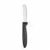 Kés szett Fekete Ezüst színű Rozsdamentes acél Műanyag 17 cm (12 egység)
