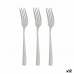 Fork Set Silver Stainless steel 2,5 x 21,3 x 0,3 cm (12 Units)