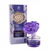 Luchtverfrisser La Casa de los Aromas Lavendel 65 ml