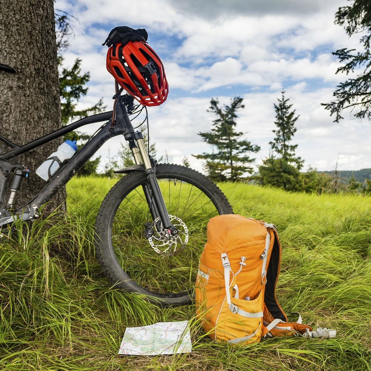 Snap hook Ferrestock Hook