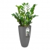 Plant pot Elho 8885373042500 Anthracite Plastic Circular