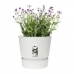 Plant pot with Dish Elho Greenville Ø 39 x 36,8 cm Circular White Plastic