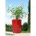 Vaso Riviera Vermelho Plástico Quadrado Redondo Moderno 29 x 29 x 52 cm 29 x 29 cm