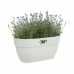 Plant pot Elho 3662603645100 White Plastic Rectangular Modern 24 x 36 x 26,5 cm