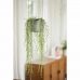 Hængende planter Elho   Grøn Plastik Ø 18 cm