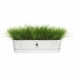 Наружный ящик для растений Elho   Белый 70 cm Пластик