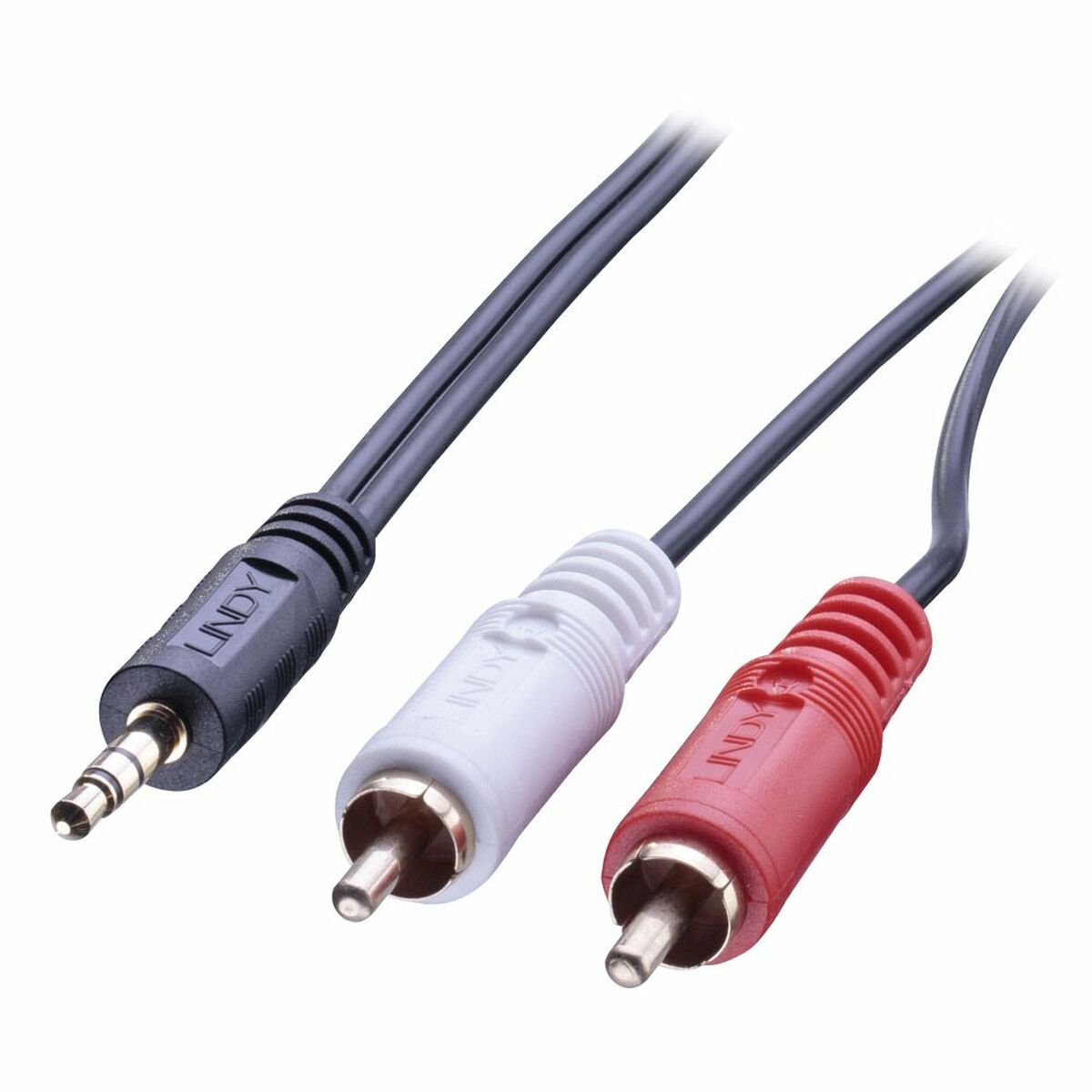 Cable Audio Jack a RCA LINDY