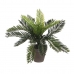Decoratieve plant Mica Decorations Keramisch Palmboom (11,5 x 33 cm)