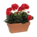 Διακοσμητικό Φυτό Mica Decorations Κεραμικά Κόκκινο PVC (29 x 13 x 40 cm)