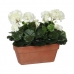 Dekorativ plante Mica Decorations Keramik Hvid Gul PVC Geranium (29 x 13 x 40 cm)