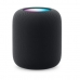 Tragbare Bluetooth-Lautsprecher Apple HomePod Schwarz Multi