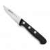 Nož za lupljenje Arcos Universal Nerjaveče jeklo Črna 7,5 cm