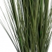 Dekorativna rastlina 57 x 53 x 150 cm Zelena Kremna PVC