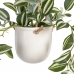 Decoratieve plant 24 x 35 x 25 cm Wit Groen PVC