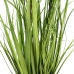 Dekorativna rastlina 45 x 40 x 74 cm Zelena PVC