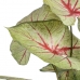 Dekorativna rastlina Rdeča Zelena PVC 40 x 35 x 55 cm