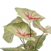 Декоративное растение Красный Зеленый PVC 40 x 35 x 55 cm