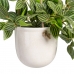 Декоративное растение 33 x 33 x 24 cm Белый Зеленый PVC