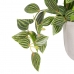 Plantă decorativă 33 x 33 x 24 cm Alb Verde PVC