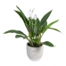 Dekorationspflanze 40 x 41 x 48 cm grün PVC