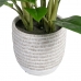 Decorative Plant 40 x 41 x 48 cm Green PVC