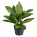 Декоративно Растение 50 x 45 x 48 cm Зелен PVC