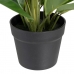 Декоративное растение 50 x 45 x 48 cm Зеленый PVC