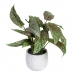 Plante décorative Vert PVC 52 x 44 x 44 cm