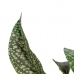 Dekorativ plante Grøn PVC 52 x 44 x 44 cm
