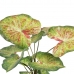 Plante décorative 48 x 46 x 55 cm Rouge Vert PVC