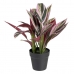 Plantă decorativă 44 x 39 x 48 cm Roz Verde PVC