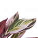 Roślina Dekoracyjna 44 x 39 x 48 cm Różowy Kolor Zielony PVC