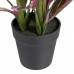 Decoratieve plant 44 x 39 x 48 cm Roze Groen PVC