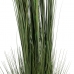 Декоративное растение 44 x 48 x 200 cm Зеленый Кремовый PVC