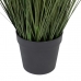 Декоративное растение 44 x 48 x 200 cm Зеленый Кремовый PVC