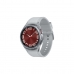 Chytré hodinky Samsung SM-R955FZSAEUE                  Sivá Striebristý áno 43 mm