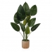 Dekorativ plante Versa Metal polystyren Plastik Cement 40 x 77 x 38 cm